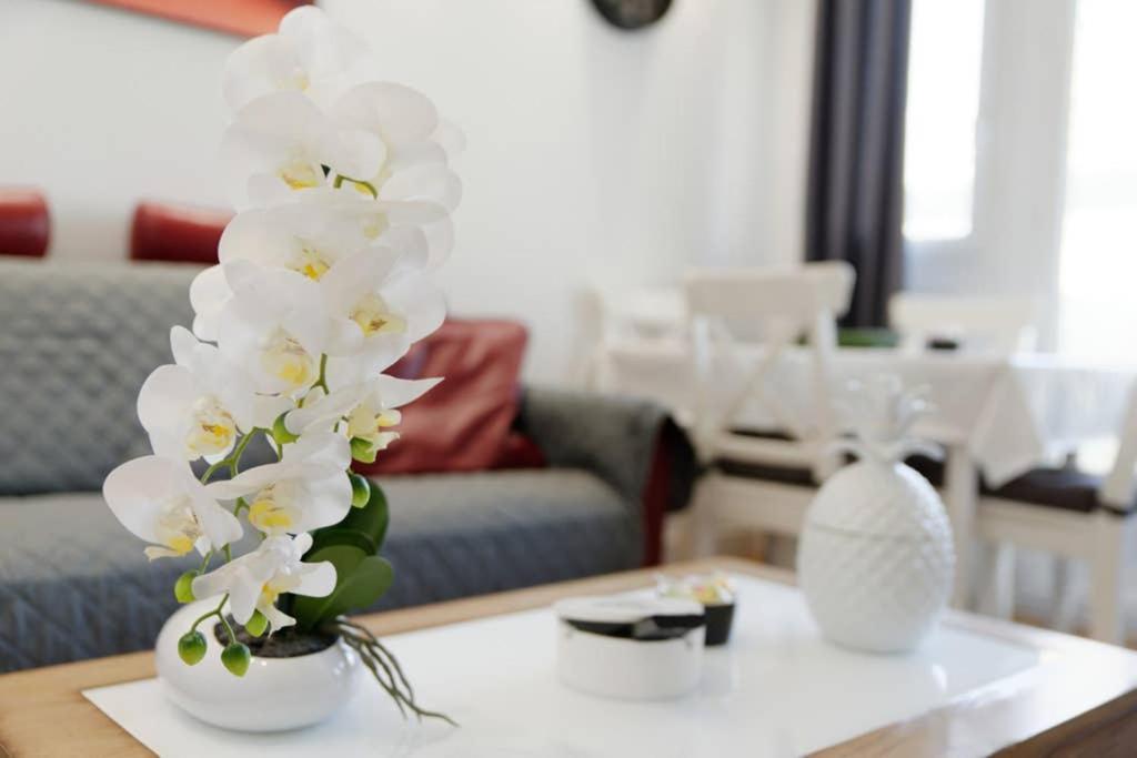 La Pointe Des Catalans Apartment Marseille Ngoại thất bức ảnh
